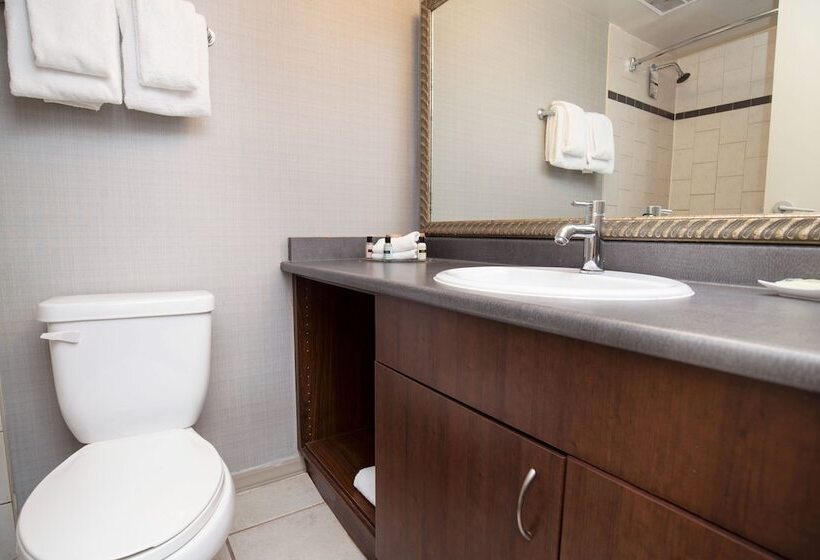 Люкс Вид на Город, Sandman Suites Vancouver On Davie