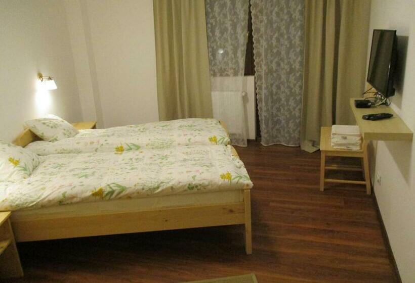 Номер Стандарт, Cabana Poiana Galdei