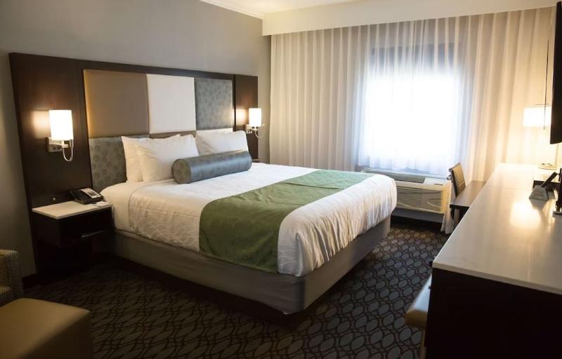 스탠다드 룸, Arthotel Vienna