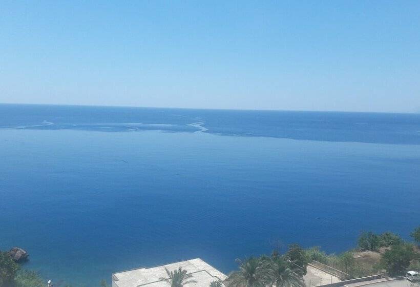 اتاق استاندارد یک نفره, Cender