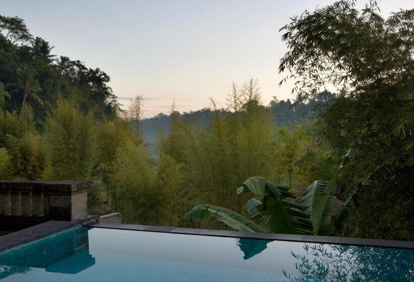 Вилла с 1 спальней и бассейном, The Payogan Villa Resort And Spa