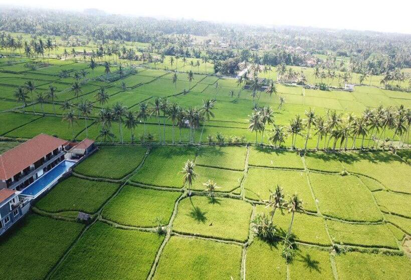 Номер Стандарт, The Sawah Resort & Villa