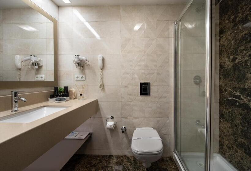 اتاق استاندارد, The Wings Hotels Neva Palas