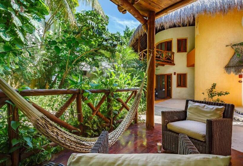 Полулюкс, Villas Hm Paraíso del Mar