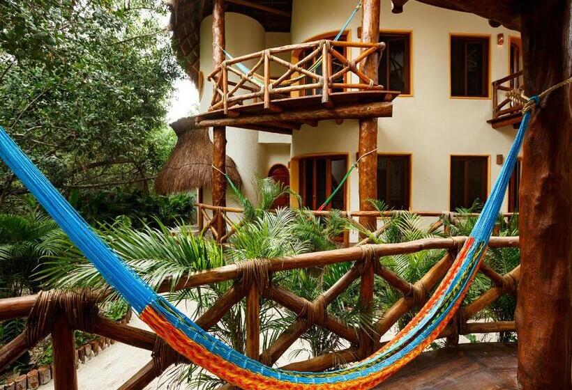 Полулюкс Премиум, Villas Hm Paraíso del Mar