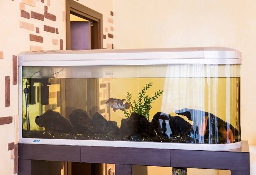 Президентский Люкс, Park Hotel Anapa