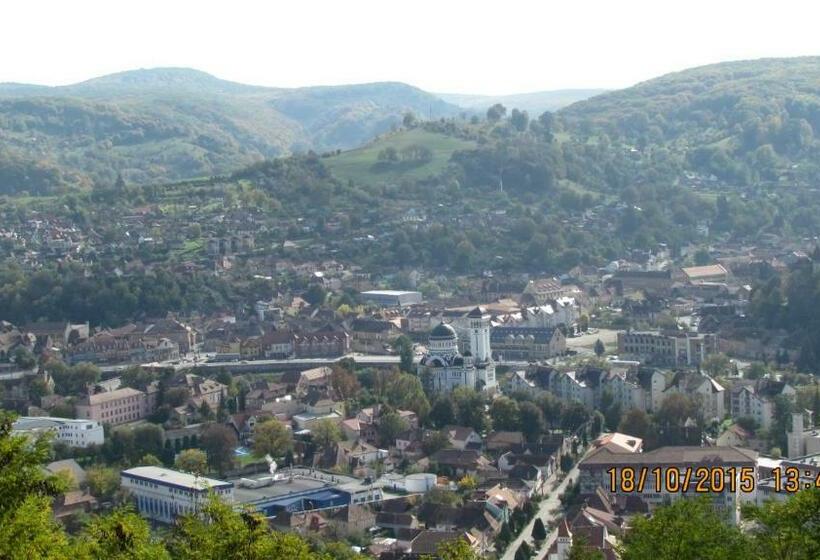 اتاق استاندارد با چشم‌انداز شهر, Cosbuc Residence & Villa