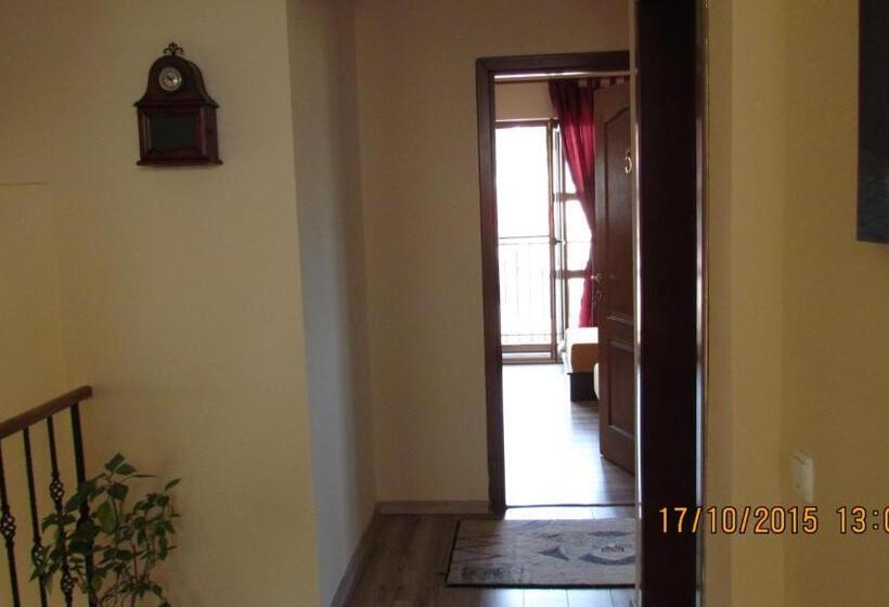 اتاق استاندارد با سرویس بهداشتی مشترک, Cosbuc Residence & Villa