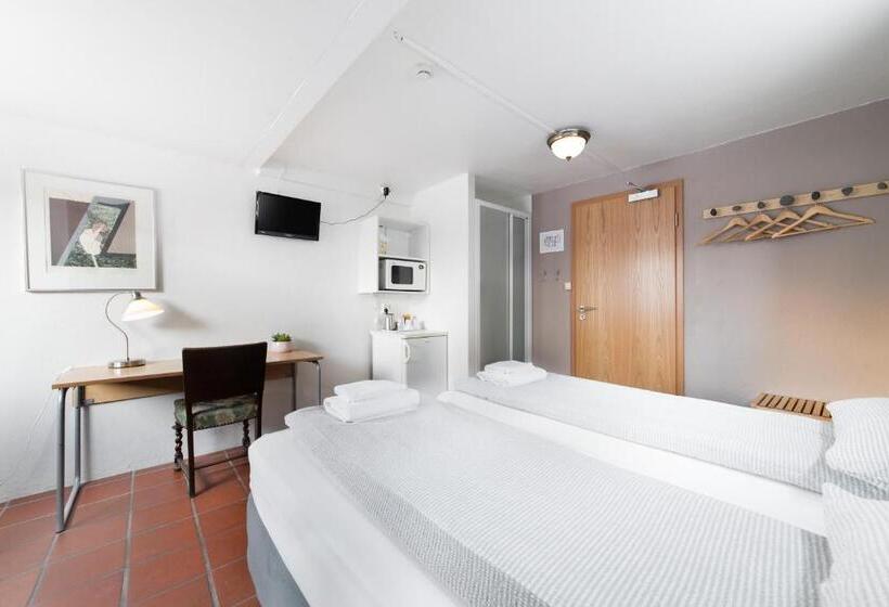 Номер Стандарт, Eric The Red Guesthouse