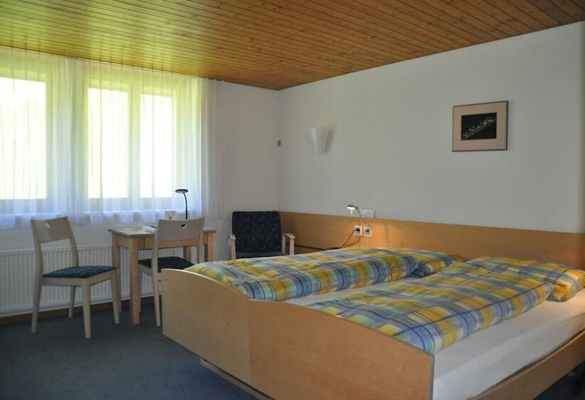 Номер Стандарт, Ferien  Und Familienhotel Alpina Adelboden