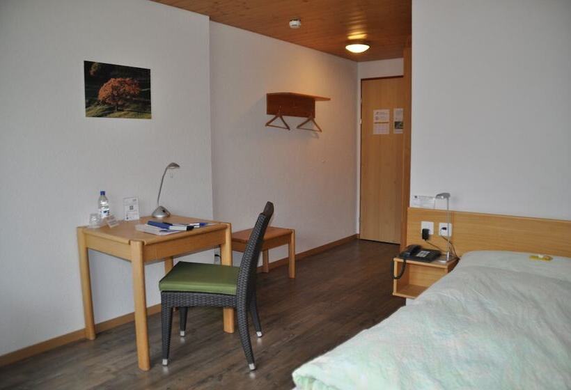 اتاق استاندارد یک نفره, Ferien  Und Familienhotel Alpina Adelboden