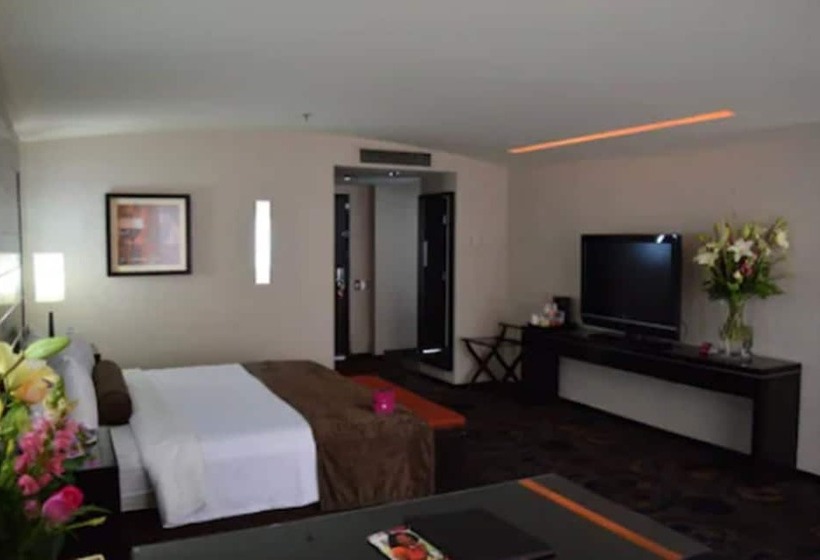 スタンダードルーム, Crowne Plaza Toluca   Lancaster, An Ihg