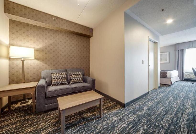 מיטת קינג בסוויטה, Monte Carlo Inn Brampton