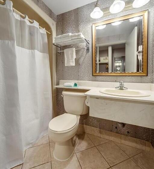 סוויטה עם ג'קוזי, Monte Carlo Inn Brampton