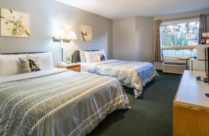 マウンテンビュースタンダードルーム, Mountain View Inn