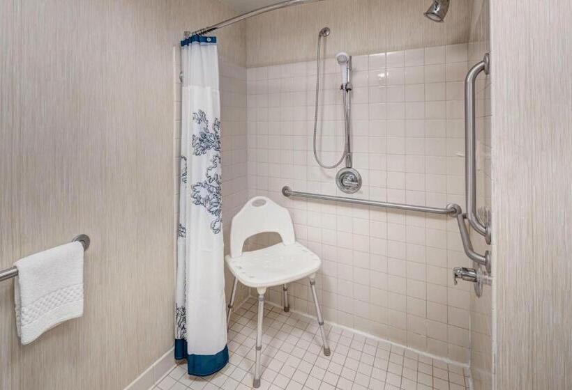 Люкс 2 Спальни, Residence Inn Kansas City Country Club Plaza