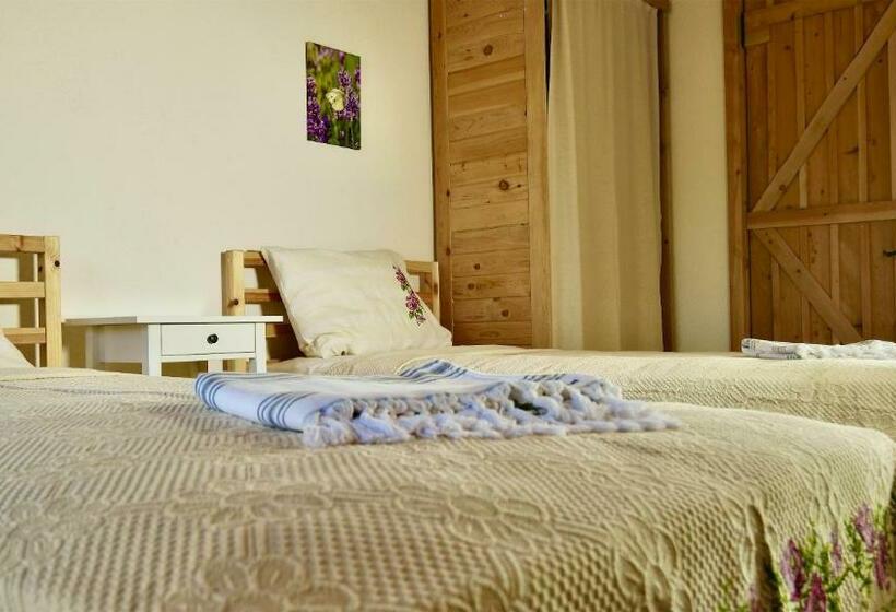 스탠다드 룸, Dedehan Retreat Otel