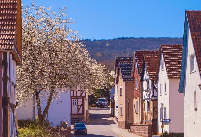 Номер Стандарт, Pension Eschwege