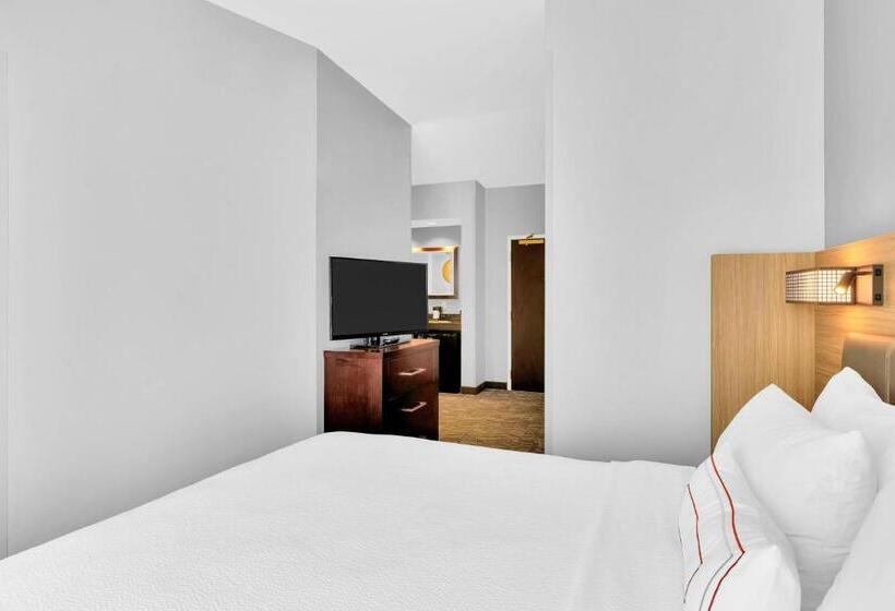 Люкс Кровать Кинг, Springhill Suites By Marriott Tarrytown Westchester County