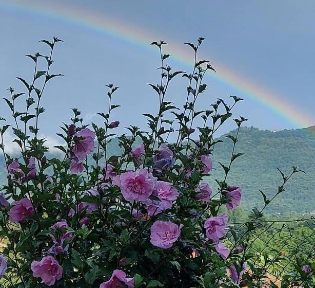 스탠다드 룸, Casa Arcobaleno