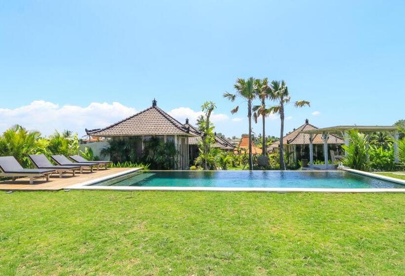 اتاق لوکس, Villa Alisha Pererenan Canggu