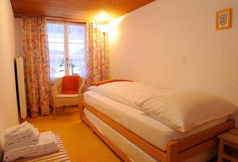 Номер Базовый Одноместный Совместный Санузел, Schützen Lauterbrunnen