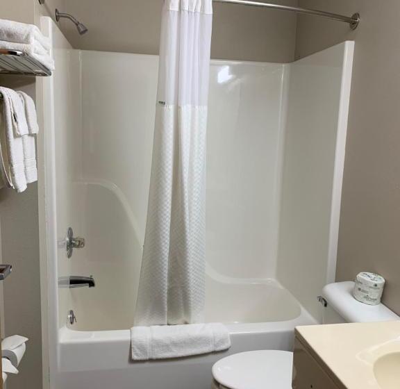 Номер Стандарт, Microtel Inn & Suites By Wyndham Fond Du Lac