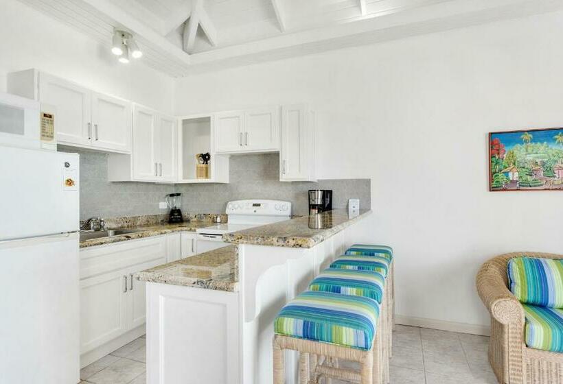 آپارتمان 1 خوابه با چشم‌انداز دریا, Shoal Bay Villas