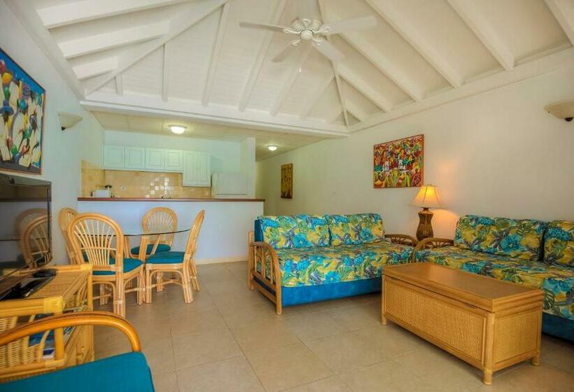 1 Bedroom Deluxe Apartment Sea View, Shoal Bay Villas