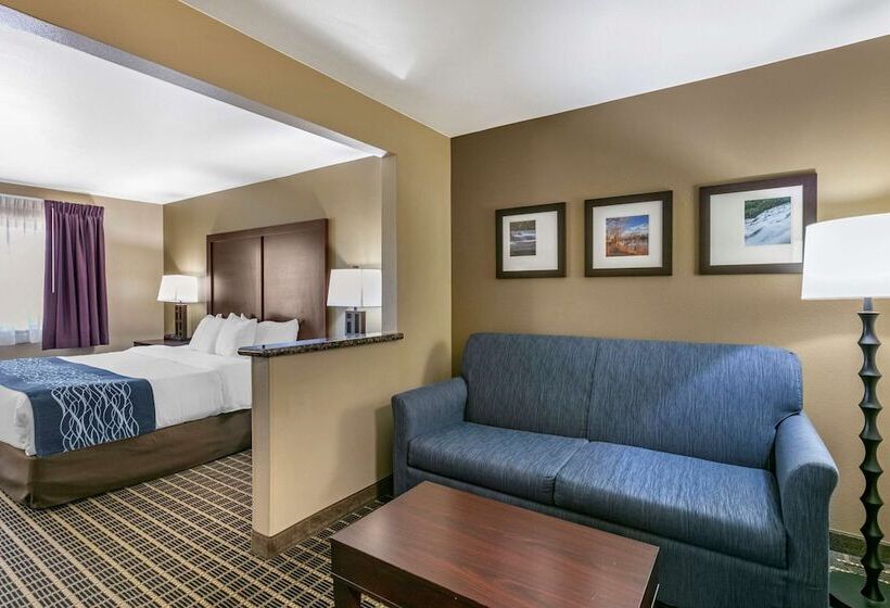 Люкс Адаптированный для Инвалидов, Comfort Inn Fort Collins North