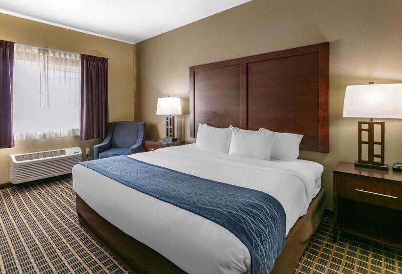 Номер Стандарт Вид на Горы, Comfort Inn Fort Collins North