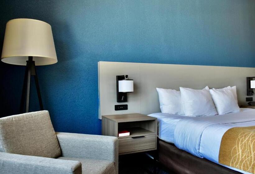 스탠다드 룸 킹사이즈 침대, Comfort Inn & Suites Cartersville   Emerson Lake Point
