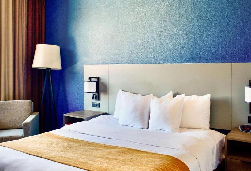 스탠다드 룸 킹사이즈 침대, Comfort Inn & Suites Cartersville   Emerson Lake Point