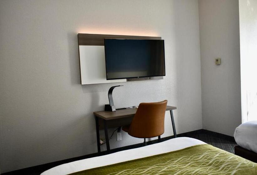 스위트, Comfort Inn & Suites Cartersville   Emerson Lake Point
