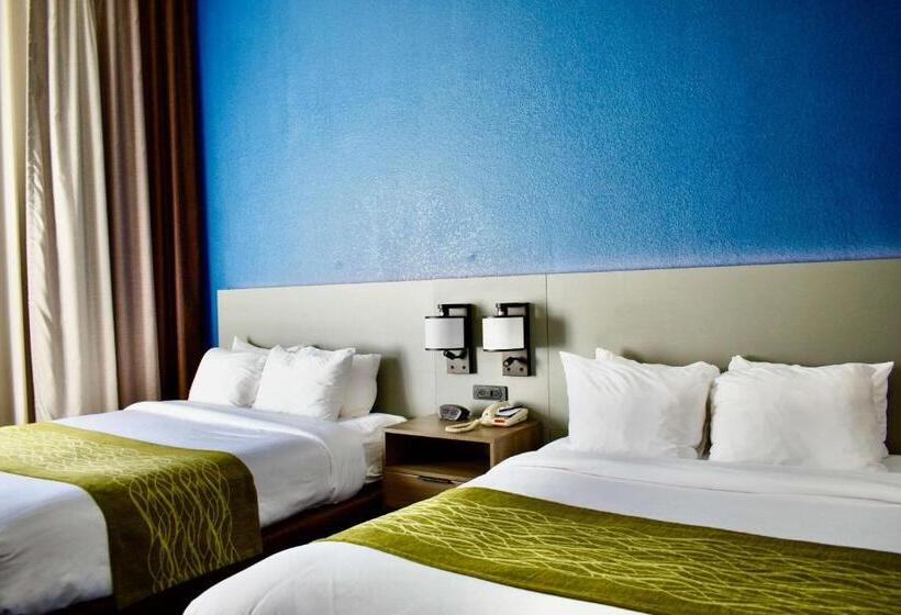 스위트, Comfort Inn & Suites Cartersville   Emerson Lake Point
