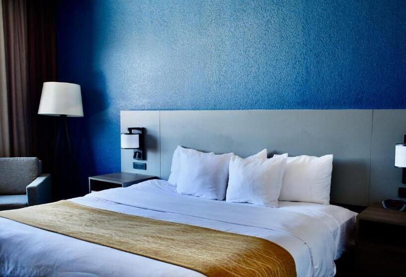장애인을 위한 킹사이즈 침대 스탠다드 룸, Comfort Inn & Suites Cartersville   Emerson Lake Point