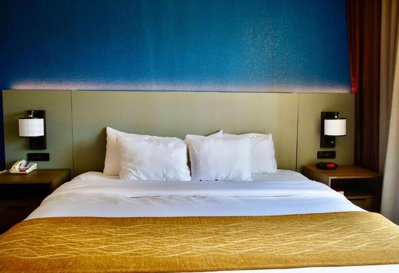 장애인을 위한 킹사이즈 침대 스탠다드 룸, Comfort Inn & Suites Cartersville   Emerson Lake Point