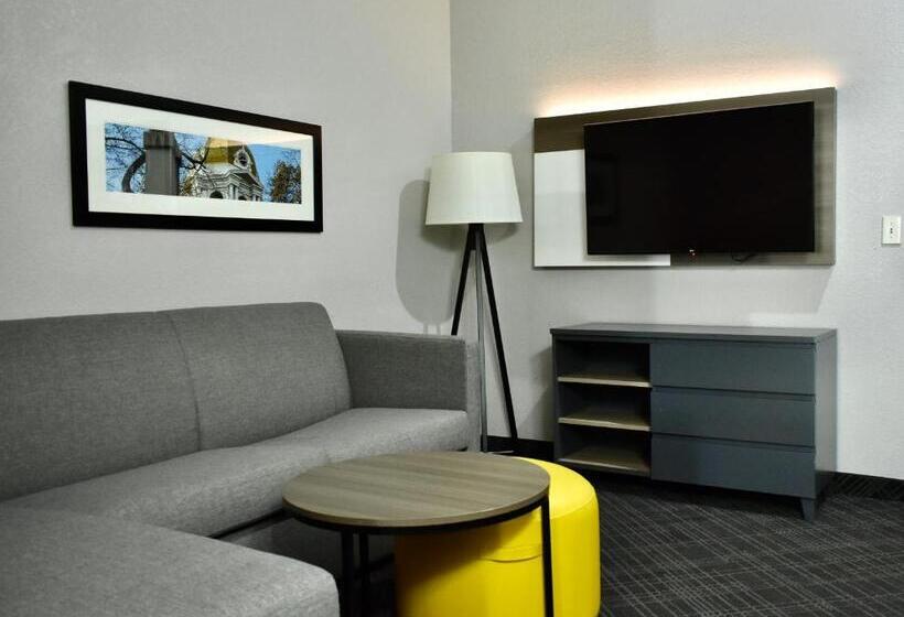 장애인을 위한 스위트, Comfort Inn & Suites Cartersville   Emerson Lake Point