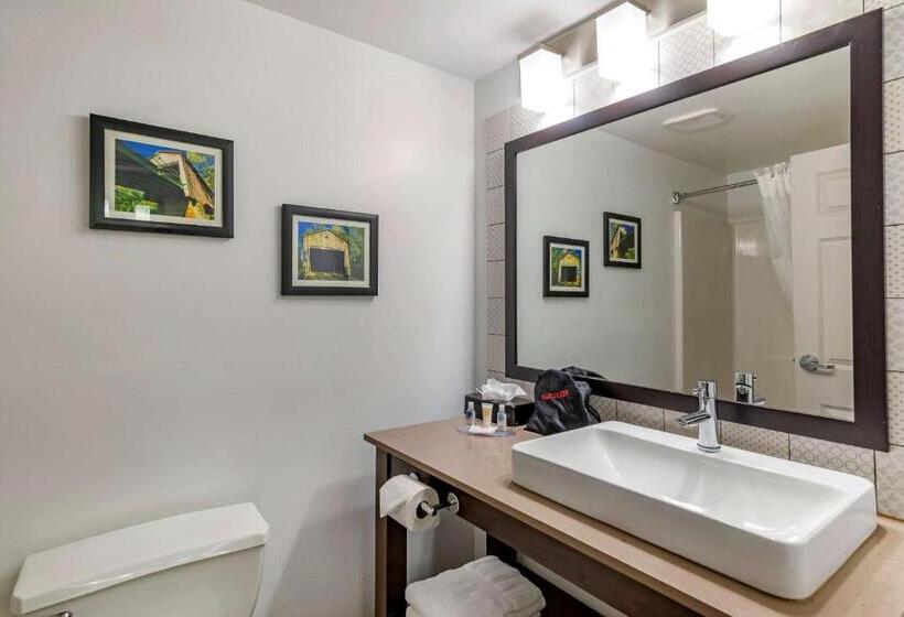 장애인을 위한 스위트, Comfort Inn & Suites Cartersville   Emerson Lake Point