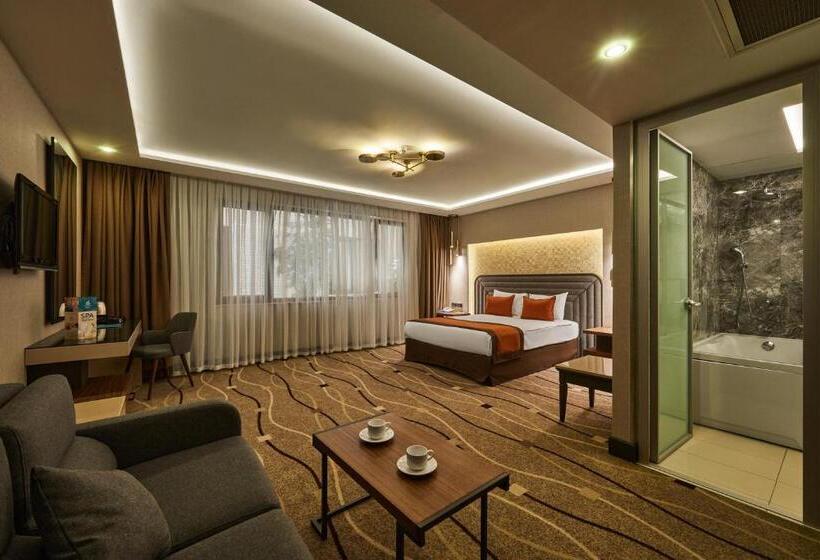 اتاق لوکس, Grand Hotel Gulsoy Old City