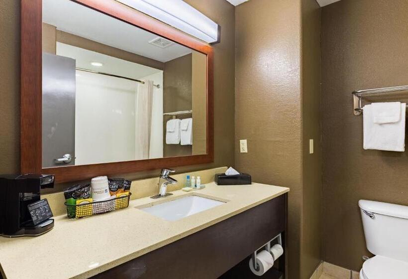اتاق استاندارد, Best Western Northwest Corpus Christi Inn & Suites