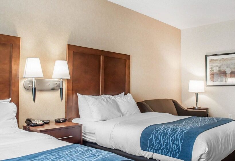 ２ダブルベッドのスタンダードルーム, Comfort Inn & Suites