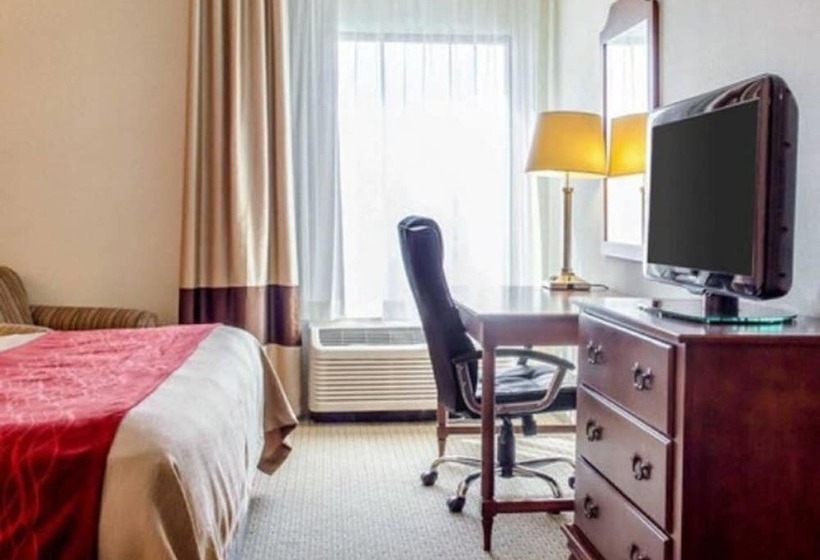 标准间, Comfort Inn & Suites