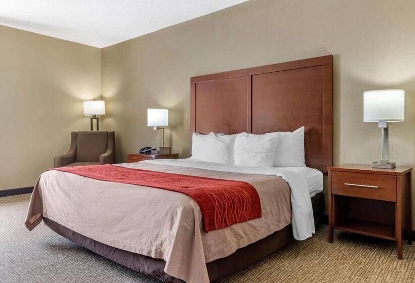 带大床的标准间, Comfort Inn Blythewood  North Columbia