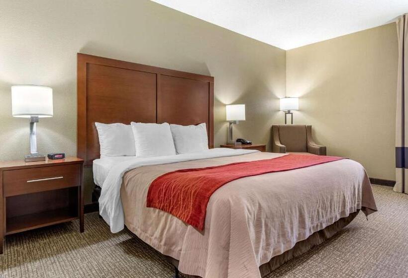 带大床的标准间, Comfort Inn Blythewood  North Columbia