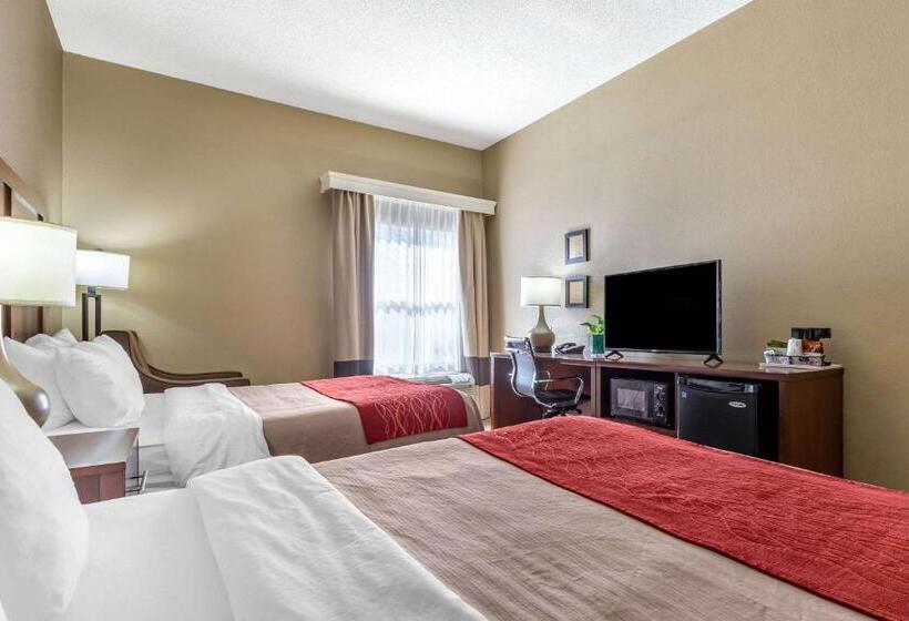 标准间, Comfort Inn Blythewood  North Columbia