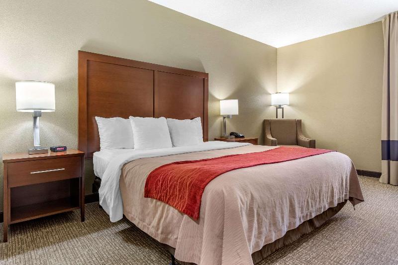 带大床的标准间, Comfort Inn Blythewood  North Columbia