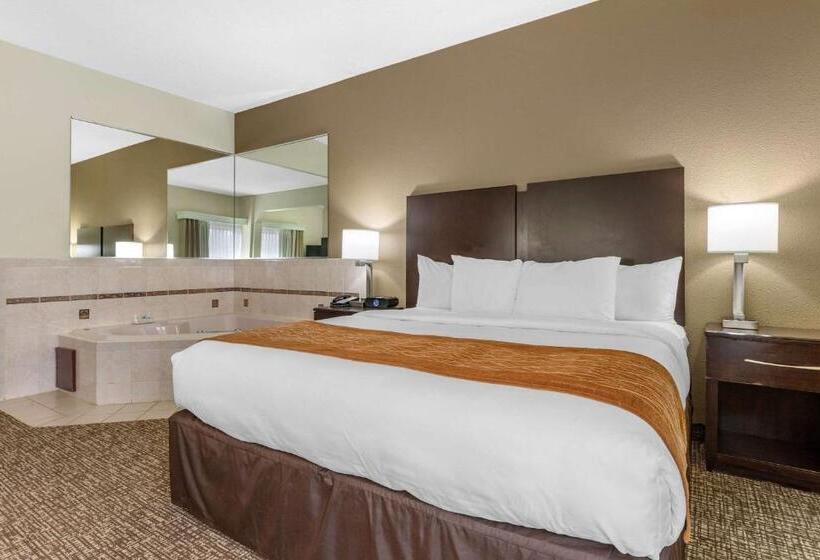 Стандартный Номер Кровать Кинг, Comfort Inn & Suites Lake Norman