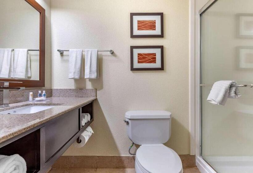 Люкс Кровать Кинг, Comfort Inn & Suites Lake Norman