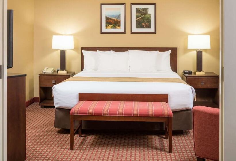 Номер Стандарт, Comfort Inn & Suites Near Burke Mountain